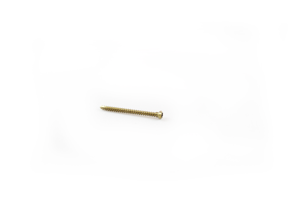 Veterinary Orthopedic Implant 2.4mm Titanium Cortical Screw Hex Head Veterinary Orthopedic Implant 2.4mm Titanium Cortical Screw Hex Head