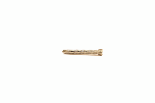 Veterinary Orthopedic Implant 2.4mm Locking Screw Veterinary Orthopedic Implant 2.4mm Locking Screw