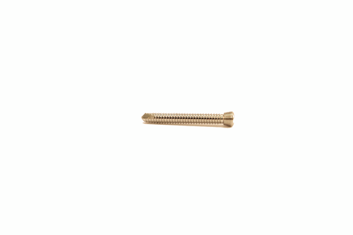 Veterinary orthopedic screw