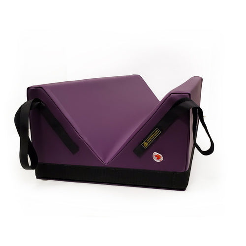 x-ray or ultrasound positioner